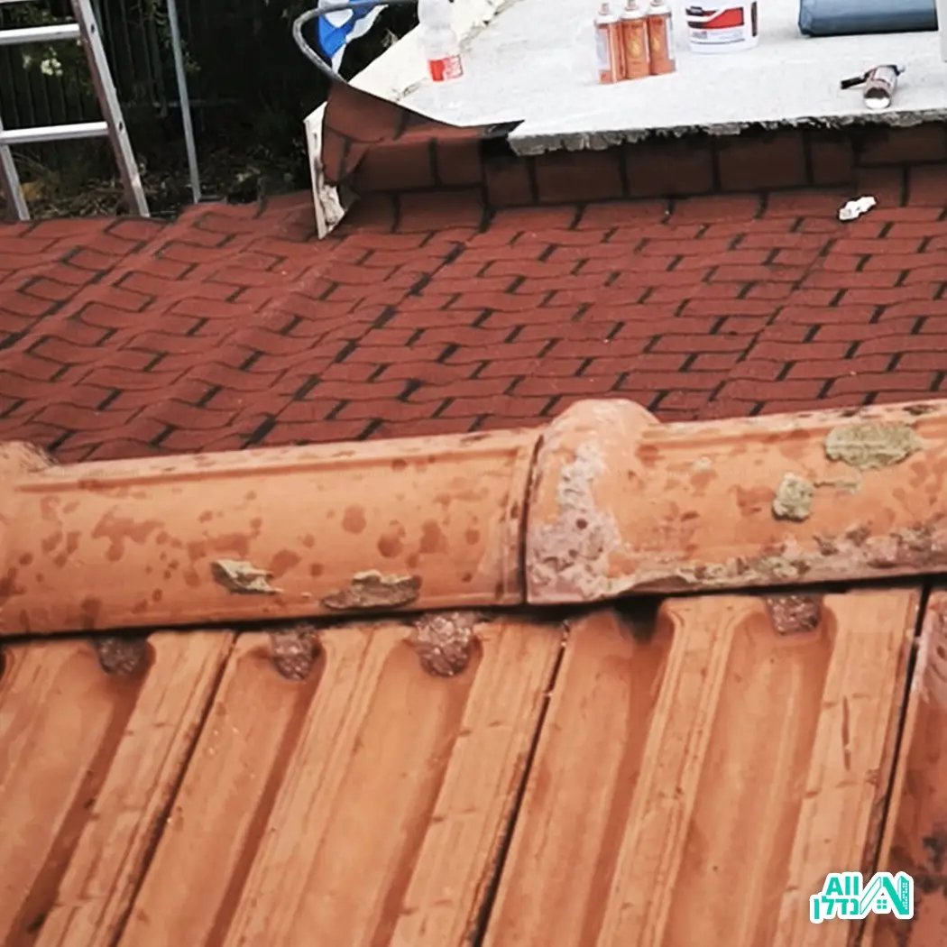 למה בדיקות הצפה זה שלב קריטי אחרי איטום? למה בדיקות הצפה זה שלב קריטי אחרי איטום?