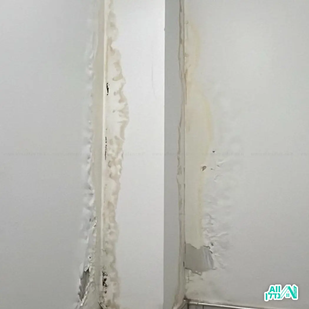 נזילות, רטיבות ולחץ מים: כך מאתרים את הבעיה בלי להרוס את הבית