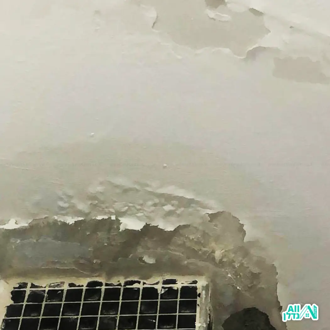 נזילות, רטיבות ולחץ מים: כך מאתרים את הבעיה בלי להרוס את הבית