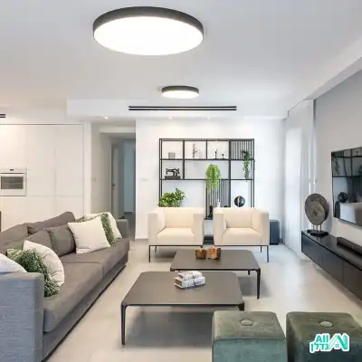 סלון מודרני בגווני שחור ולבן עם נגיעות של ירוק