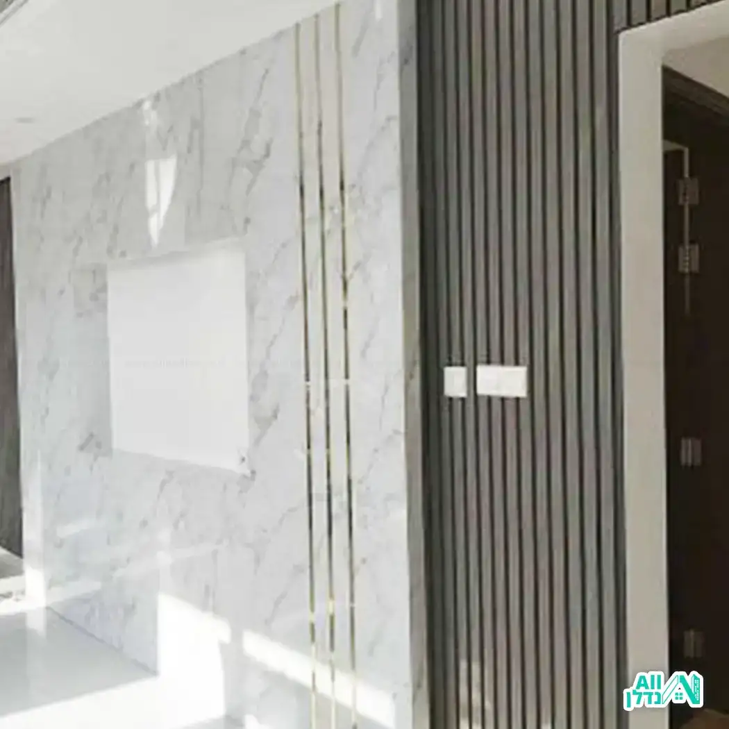 יצרית קיר כוח עם מקום לטלוויזיה