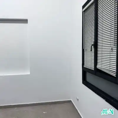 צביעת קירות מקצועית