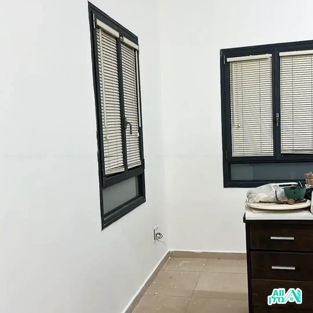 לואי צביעת קירות ויצירת קירות מעוצבים