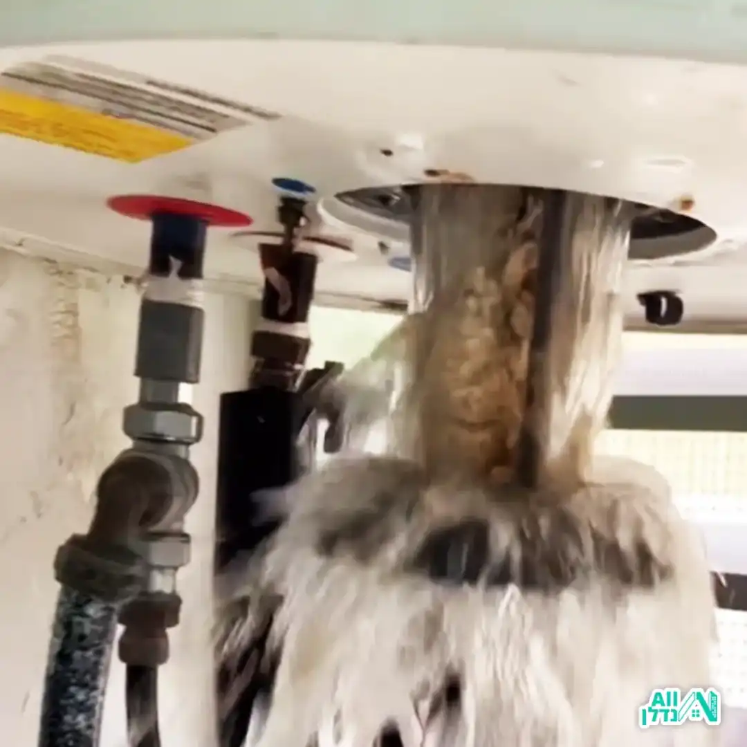 אינסטלטור מתקן את האסלה והזרימת מים