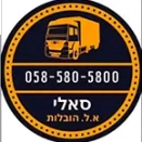 לוגו סאלי הובלות