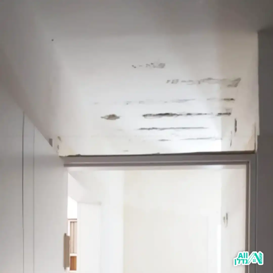 לפני ביצוע עבודת גבס