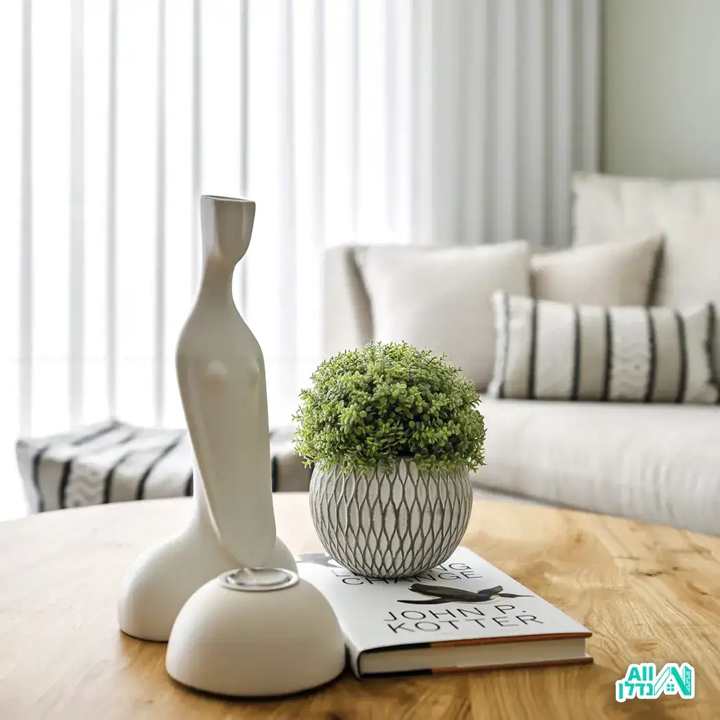 אנה לייבה עיצוב פנים והום סטיילינג