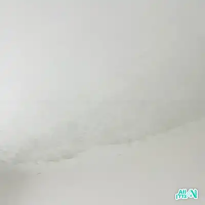 רטיבות לפני ניקוי, תיקון וצבע