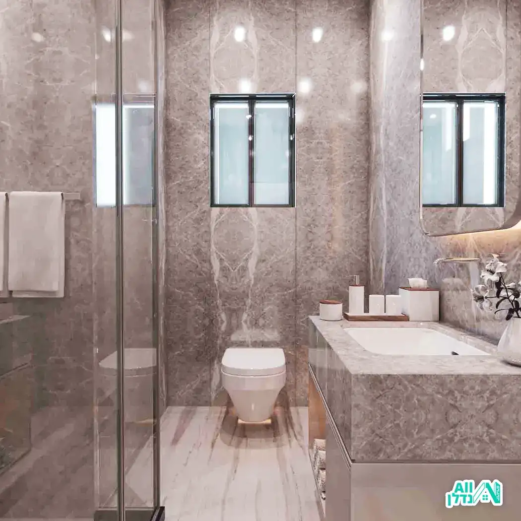 אלארי הנדימן ויזמות