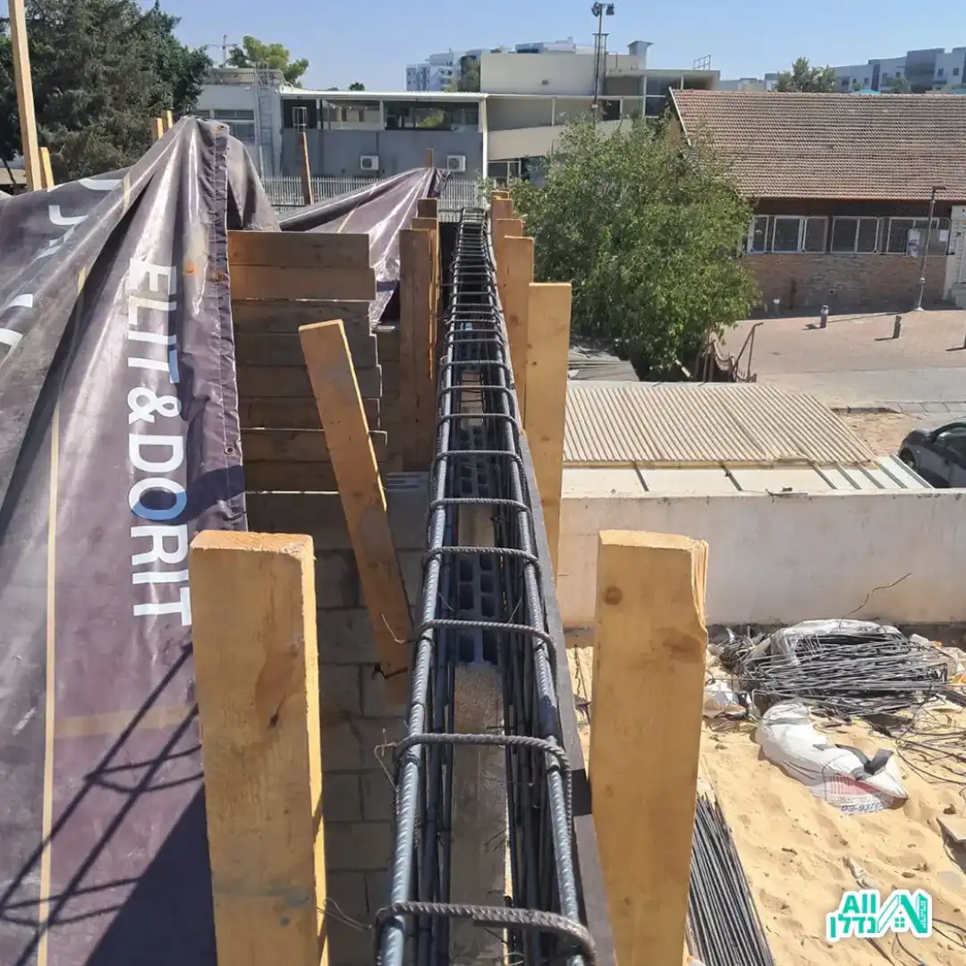 נאיה בניה ויזמות