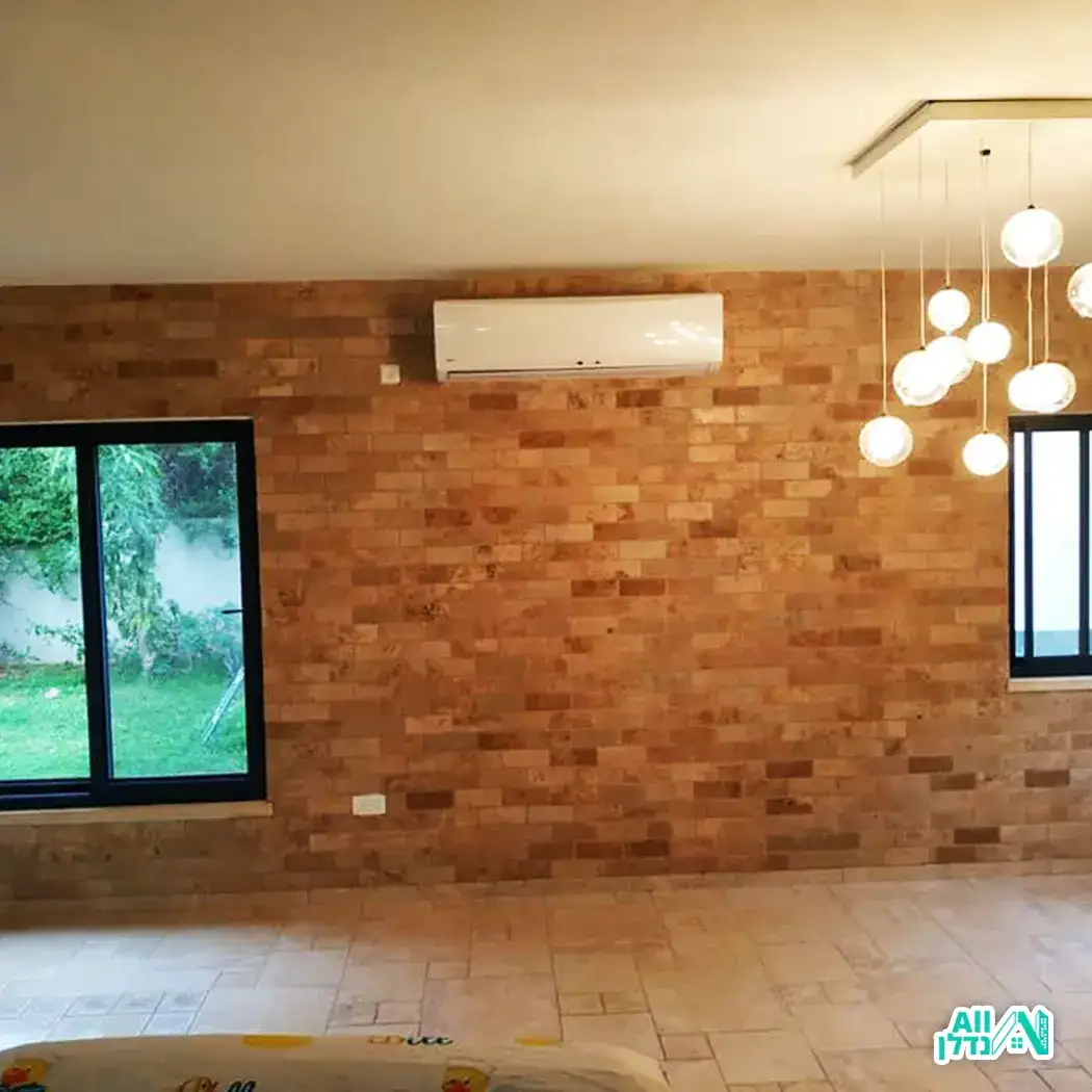 מלכה פרוייקטים