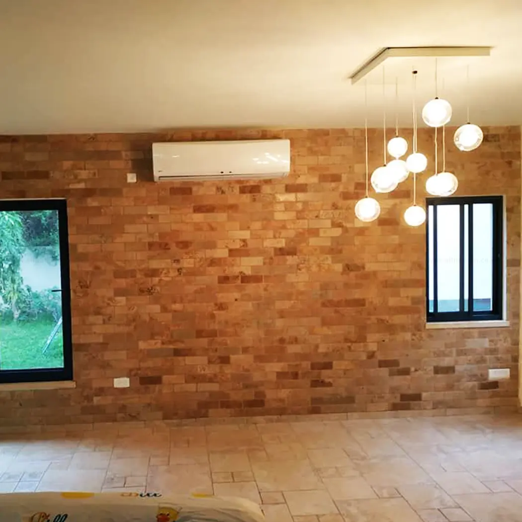 מלכה פרוייקטים