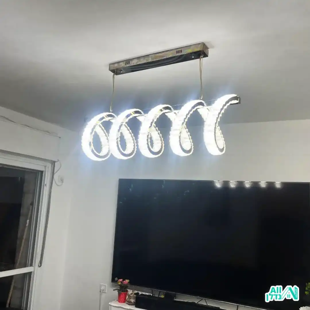 הנדימן ליאל