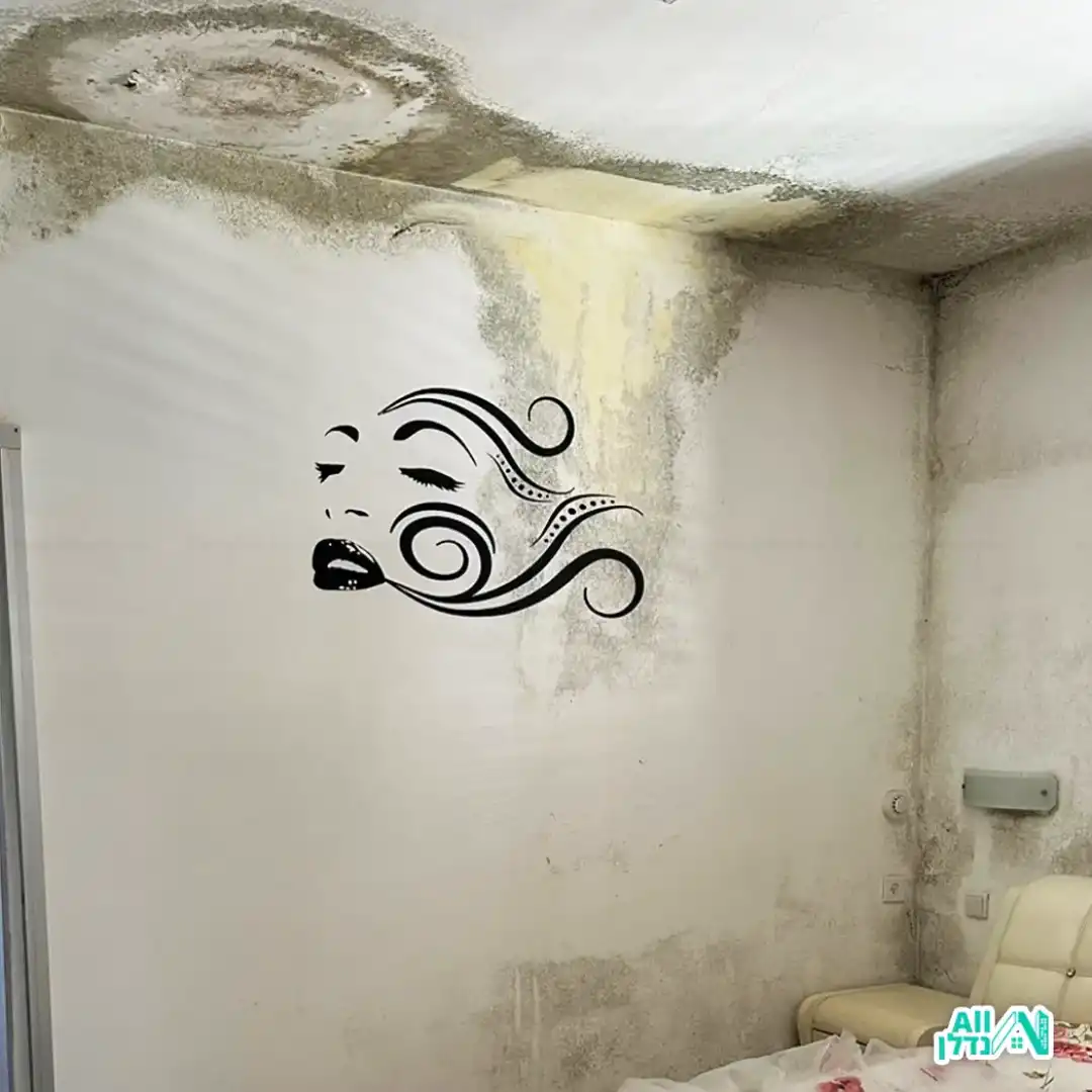 לפני - ניקוי עובש וצביעה