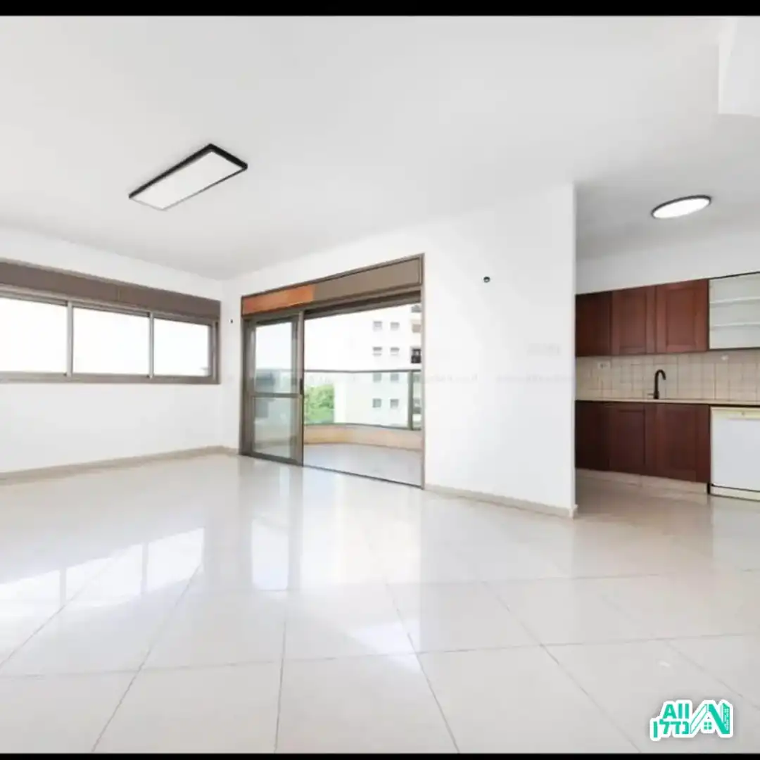 עידו החשמלאי וההנדימן