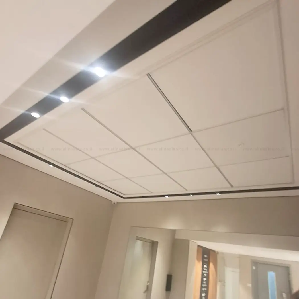 עידו החשמלאי וההנדימן