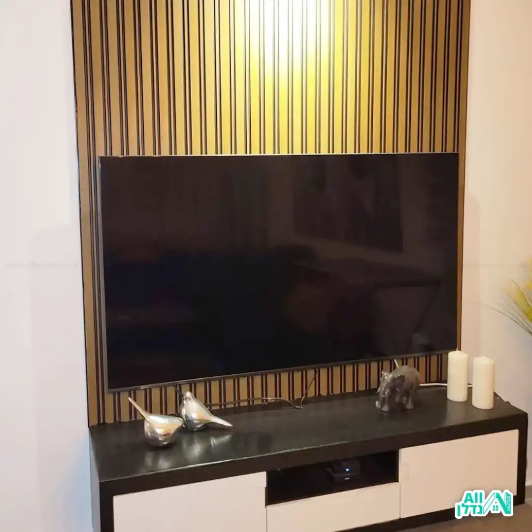 שלומי ההנדימן