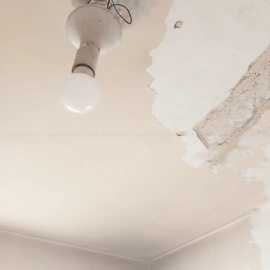 לפני - ניקוי וצביעה מקצועית