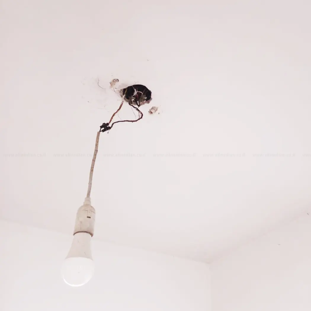 יוסף חי לוי