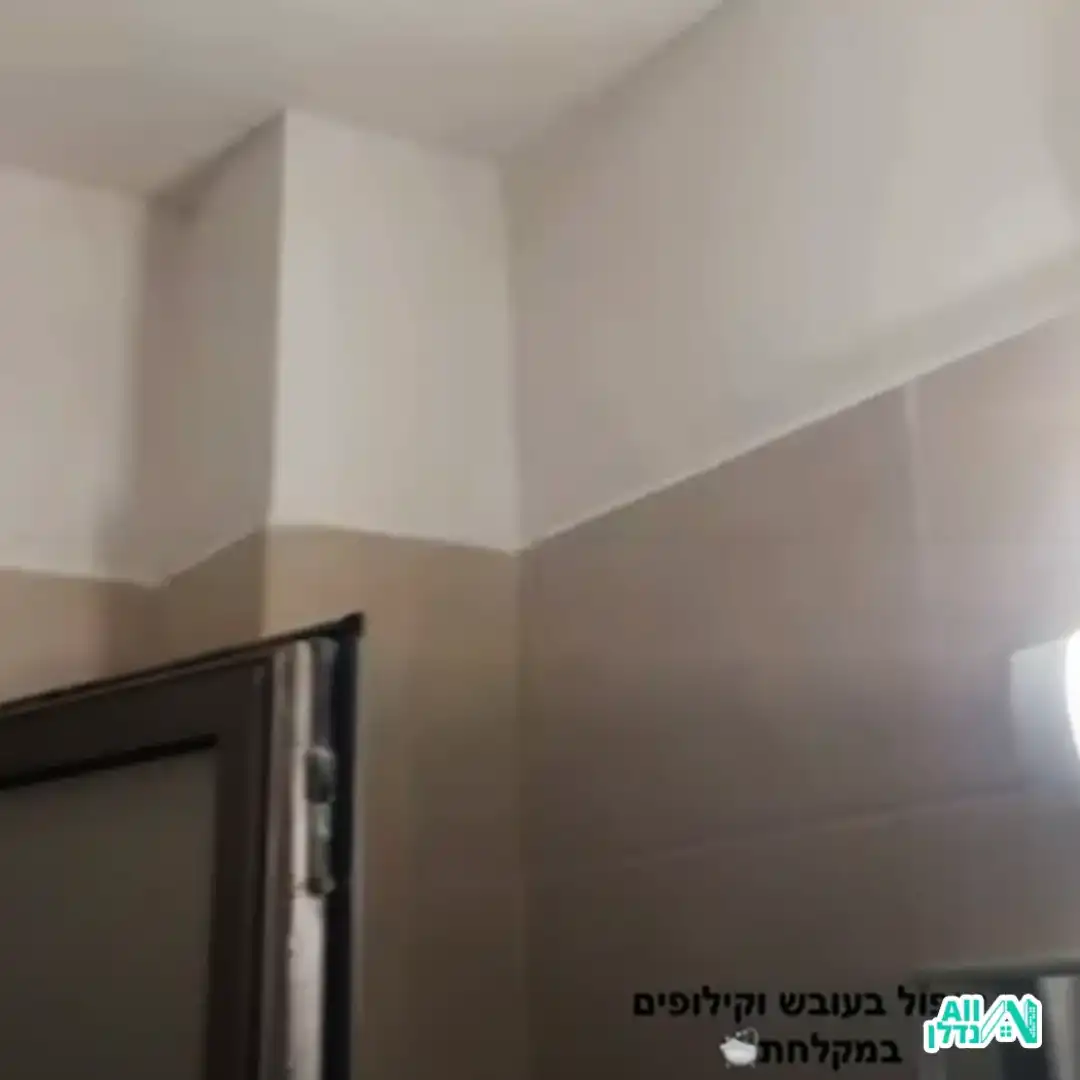 שיא הצבע